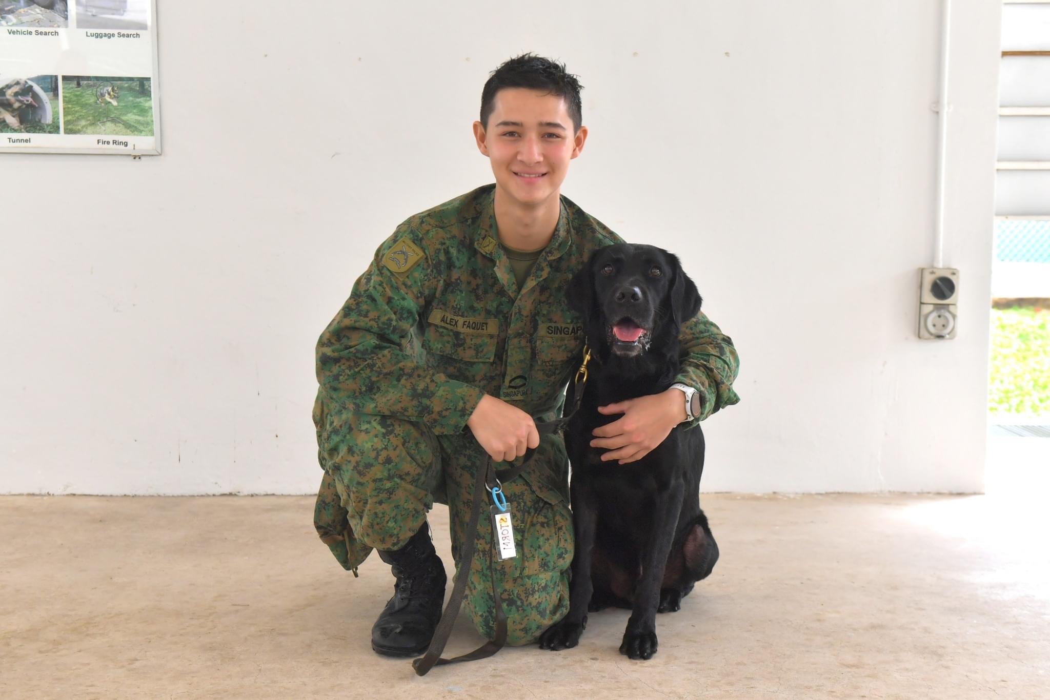 MWD Handler